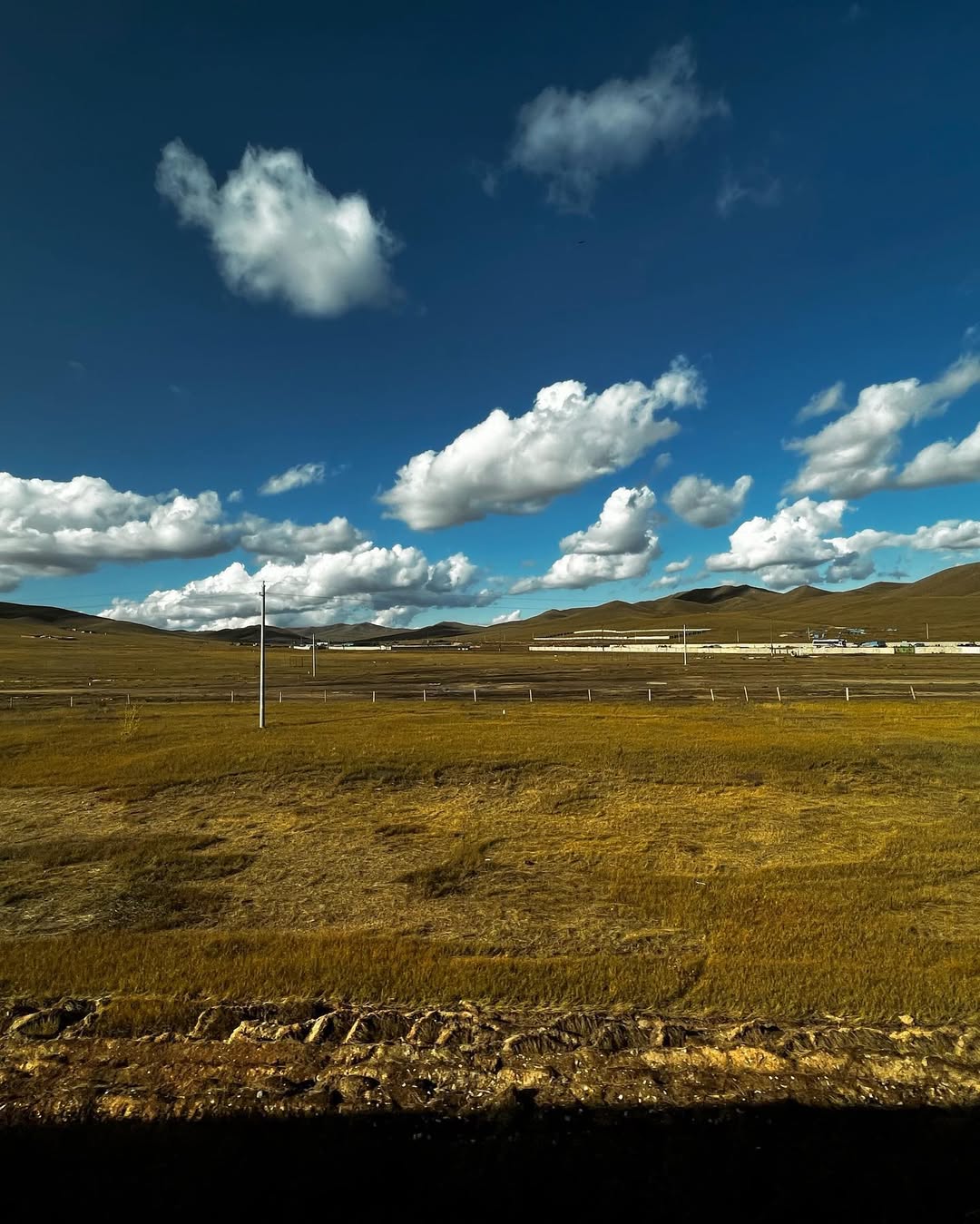 Mongolian Steppe